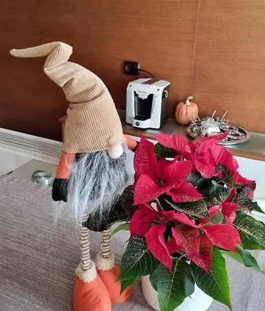 Bh & Semiramida דירה *