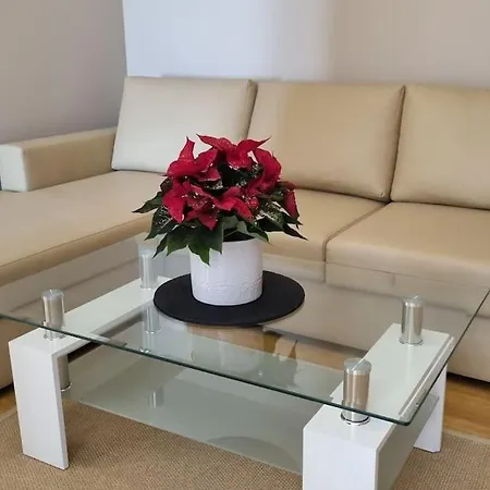 Bh & Semiramida בורובץ