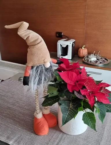 Apartament Bh & Semiramida