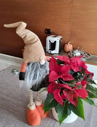 Bh & Semiramida Apartament *